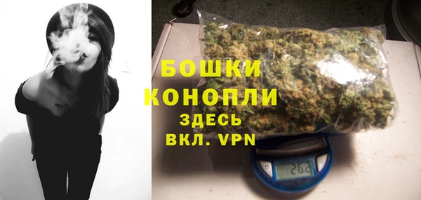гидра Вязьма