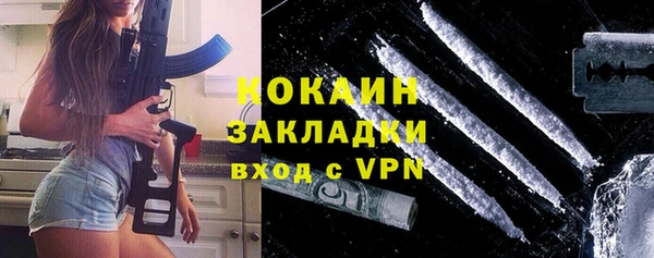 гидра Вязьма